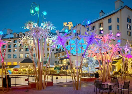 Steps from the village ice rink